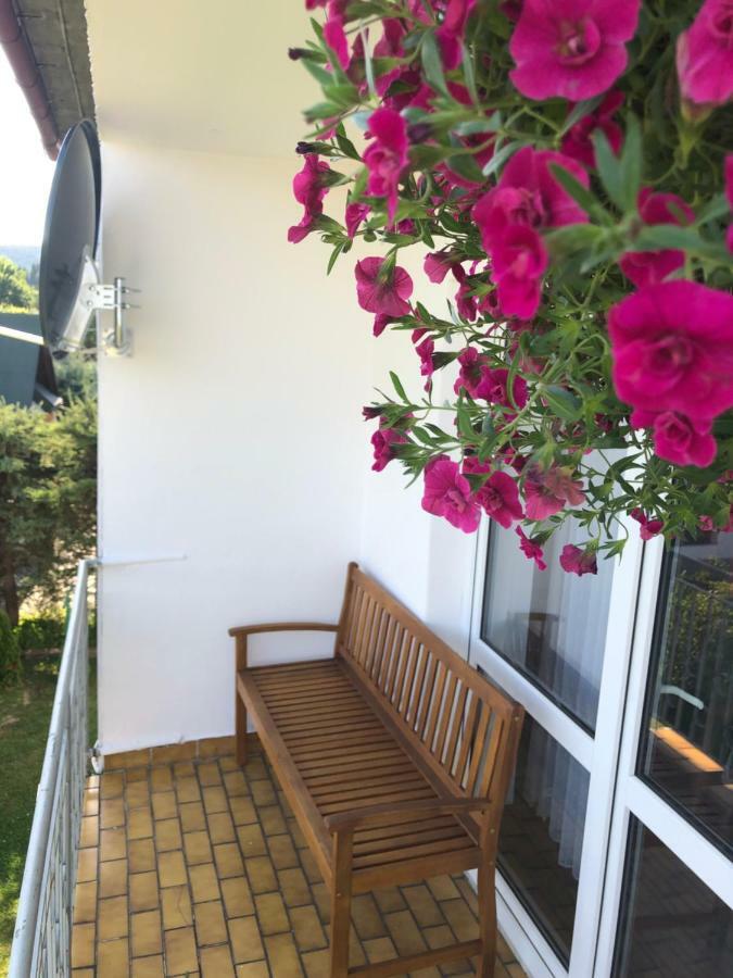 Apartament U Gogoca Tylicz Exteriér fotografie